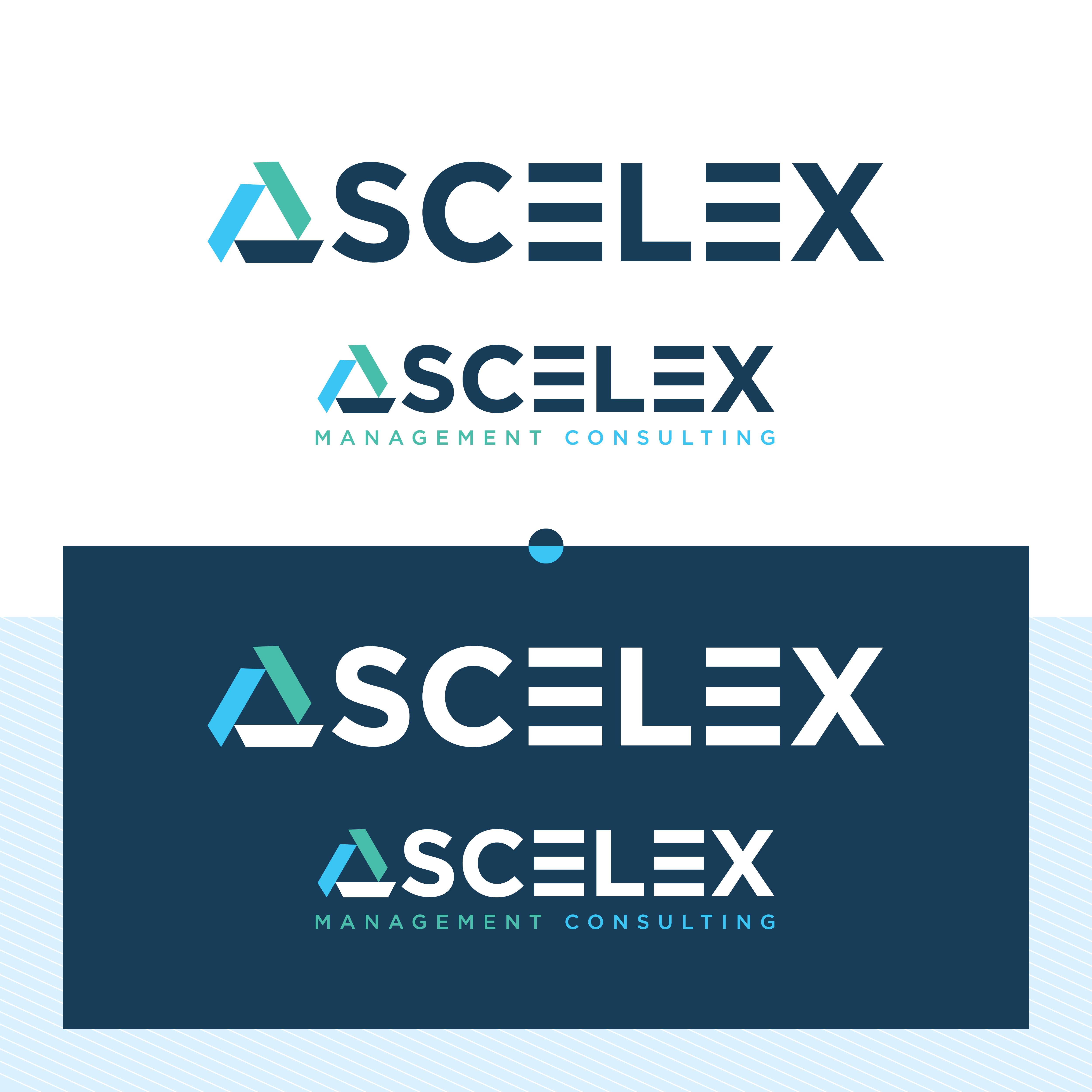 Diseño de Logo por Designfreake para este proyecto | Diseño #30914117