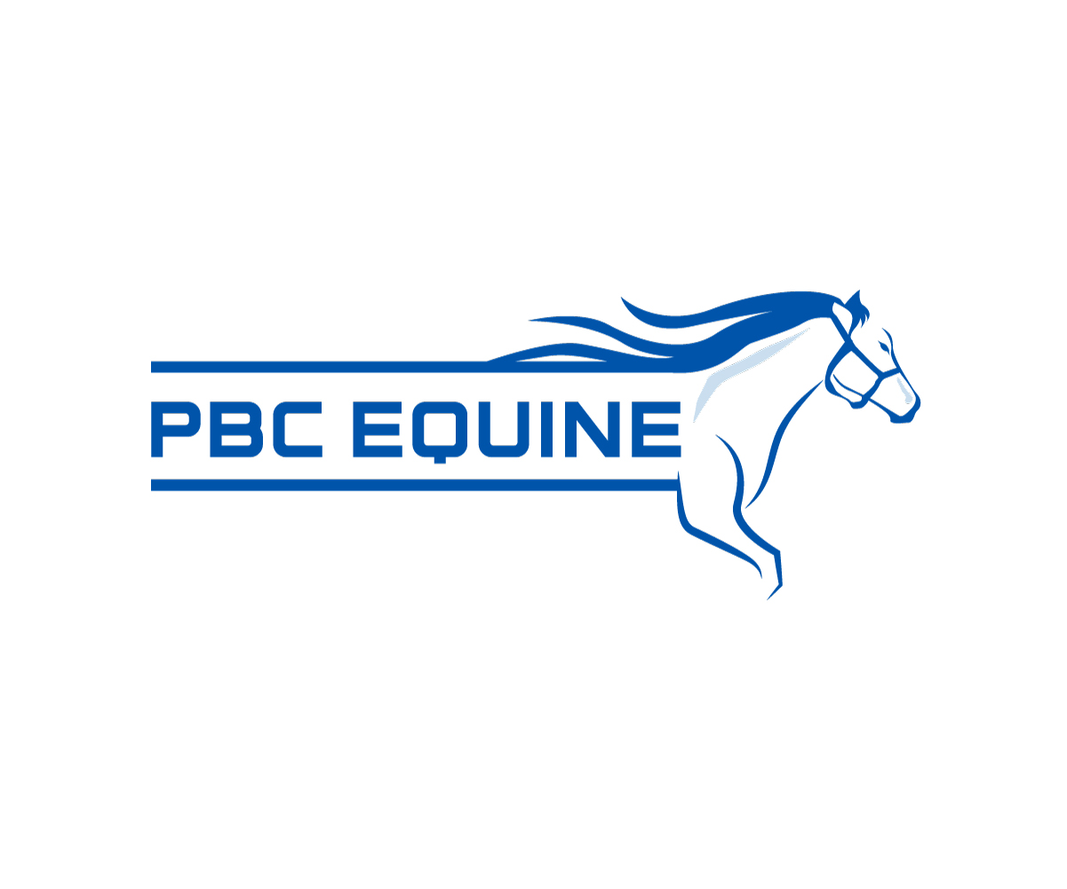 Logo-Design von Ansh Design für dieses Projekt | Design #30910987