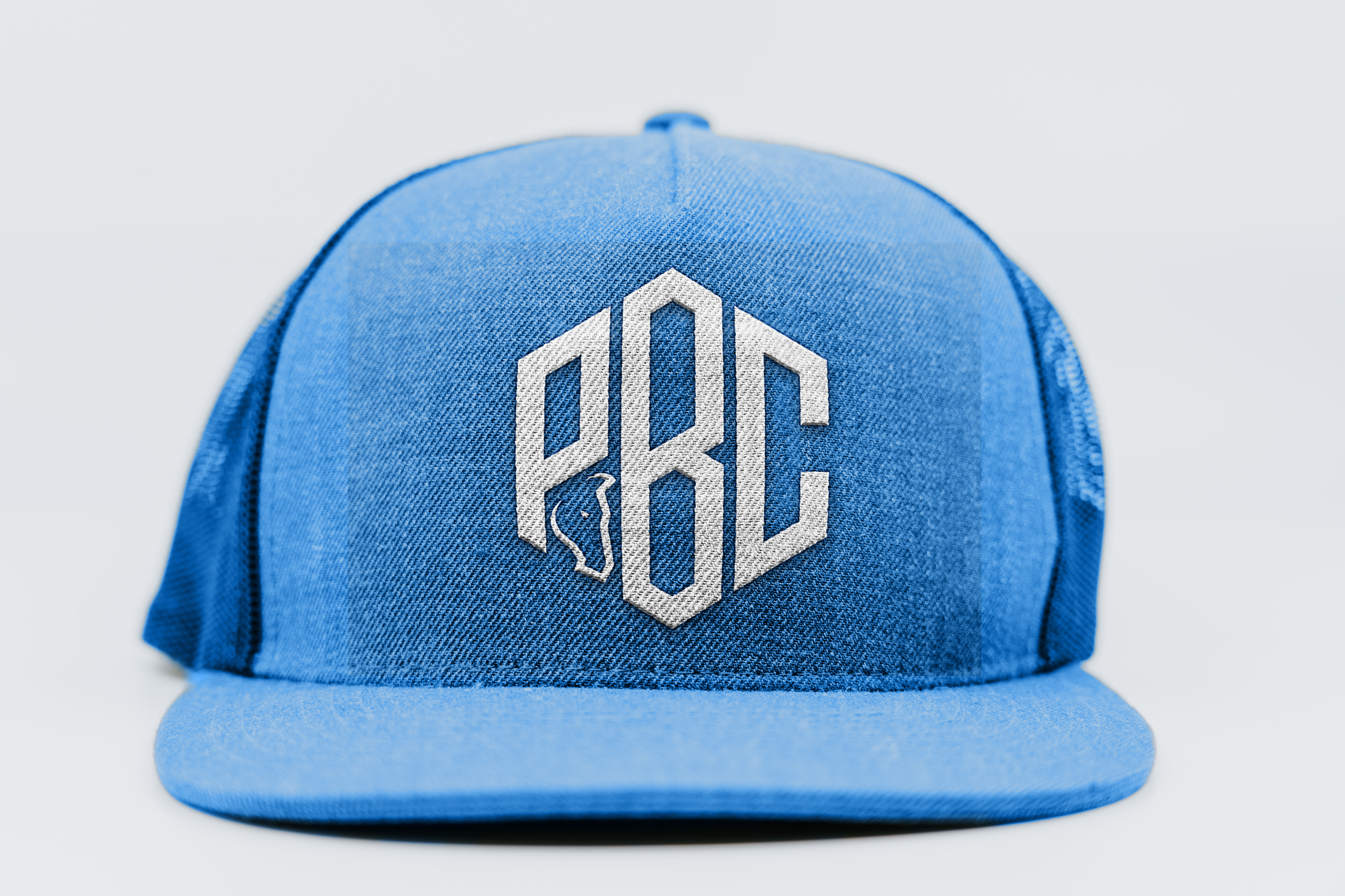 Logo Design by gauravgraphy for this project | Design #30919540