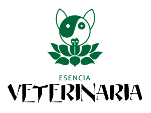 Logo Design by Enz67 for this project | Design: #30935288