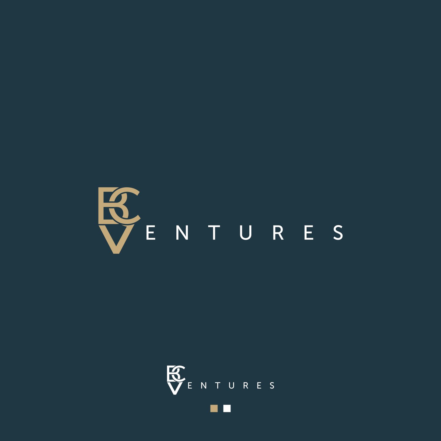 Logo Design by DenJoyo for this project | Design #30917644