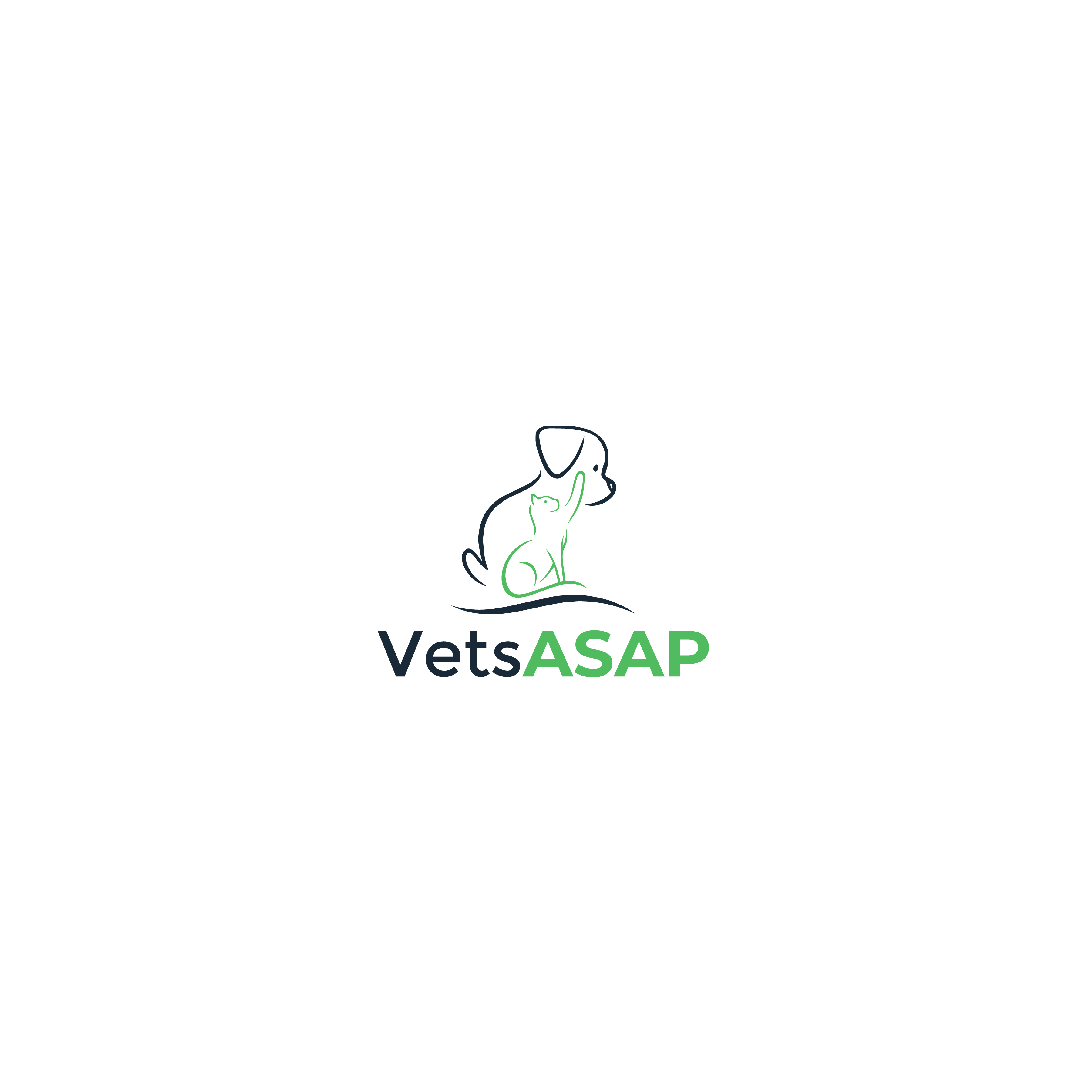 Logo Design by Designer Nayem for this project | Design #30920383