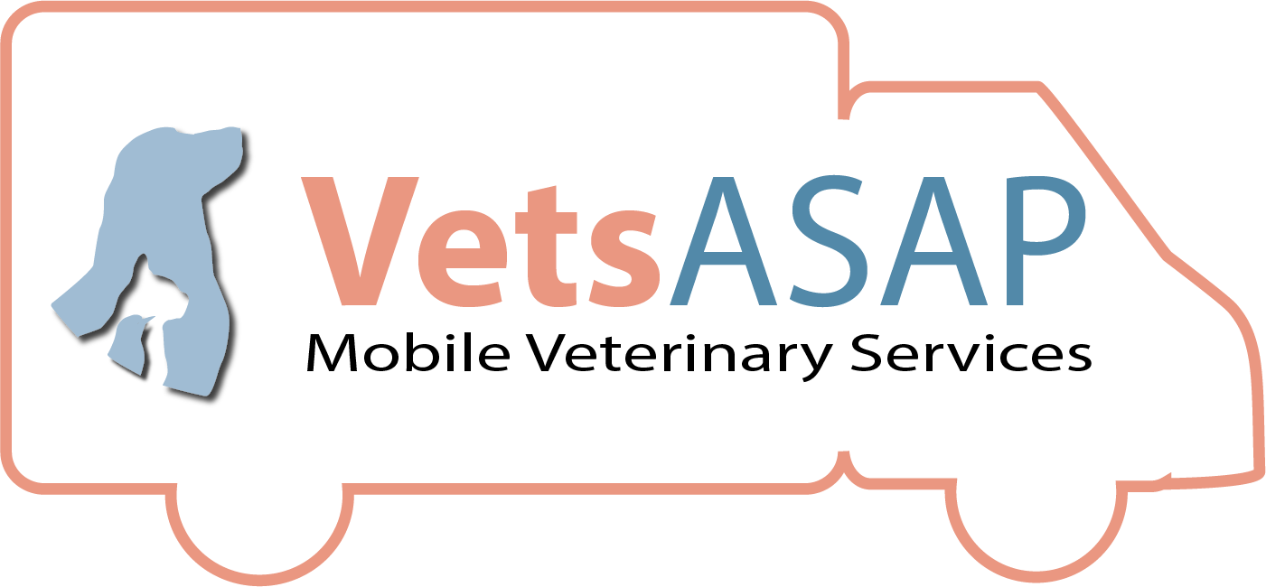 Logo Design by Peter 20 for this project | Design #30965829