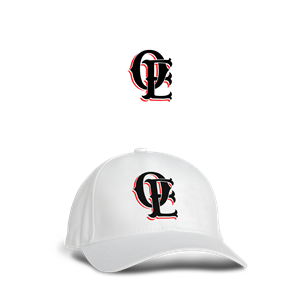 Diseño de Logo por 1975oliverocampo para Dany Rocheleau | Diseño #30916440