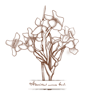 Tattoo Design by ioio for this project | Design: #30931874