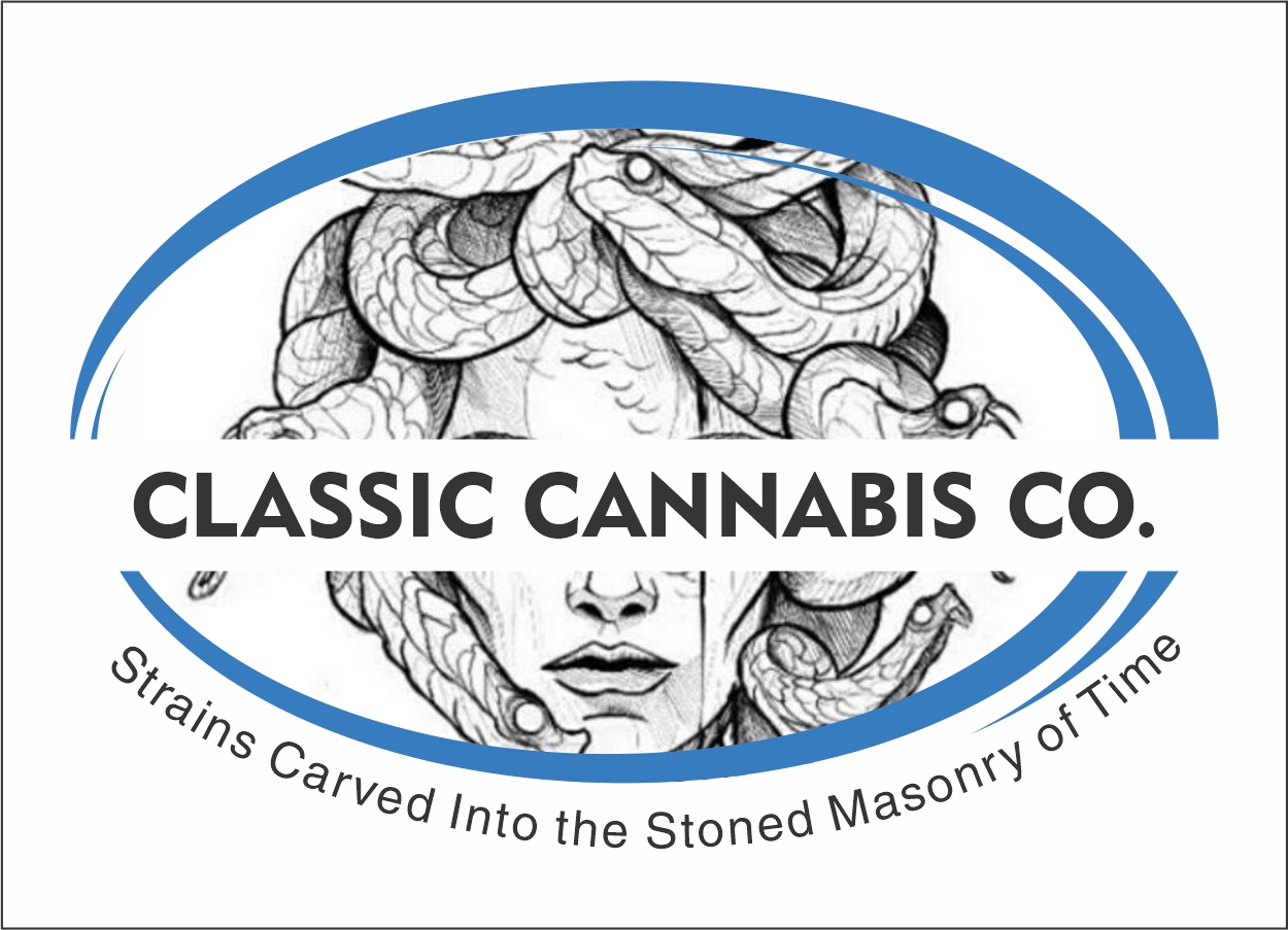Logo Design by Pearl Jenkins for this project | Design #30927340