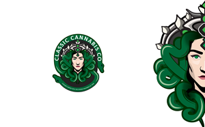 Logo Design by Wolfpencil Designs for this project | Design: #30938004