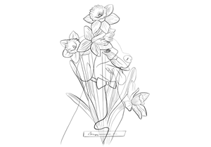 Design Image