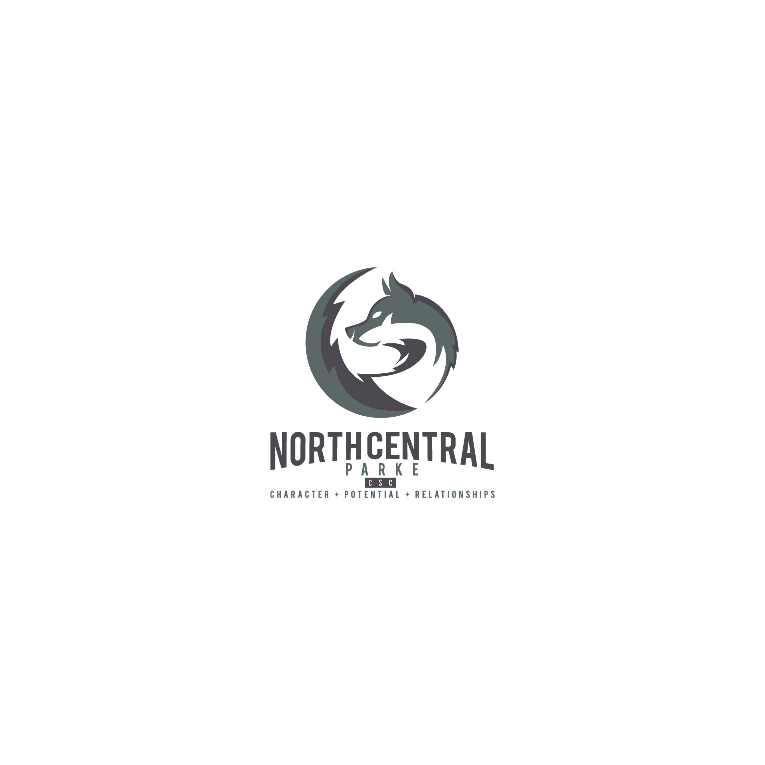 Diseño de Logo por 4tech services para North Central Parke Community Schools | Diseño #30939042