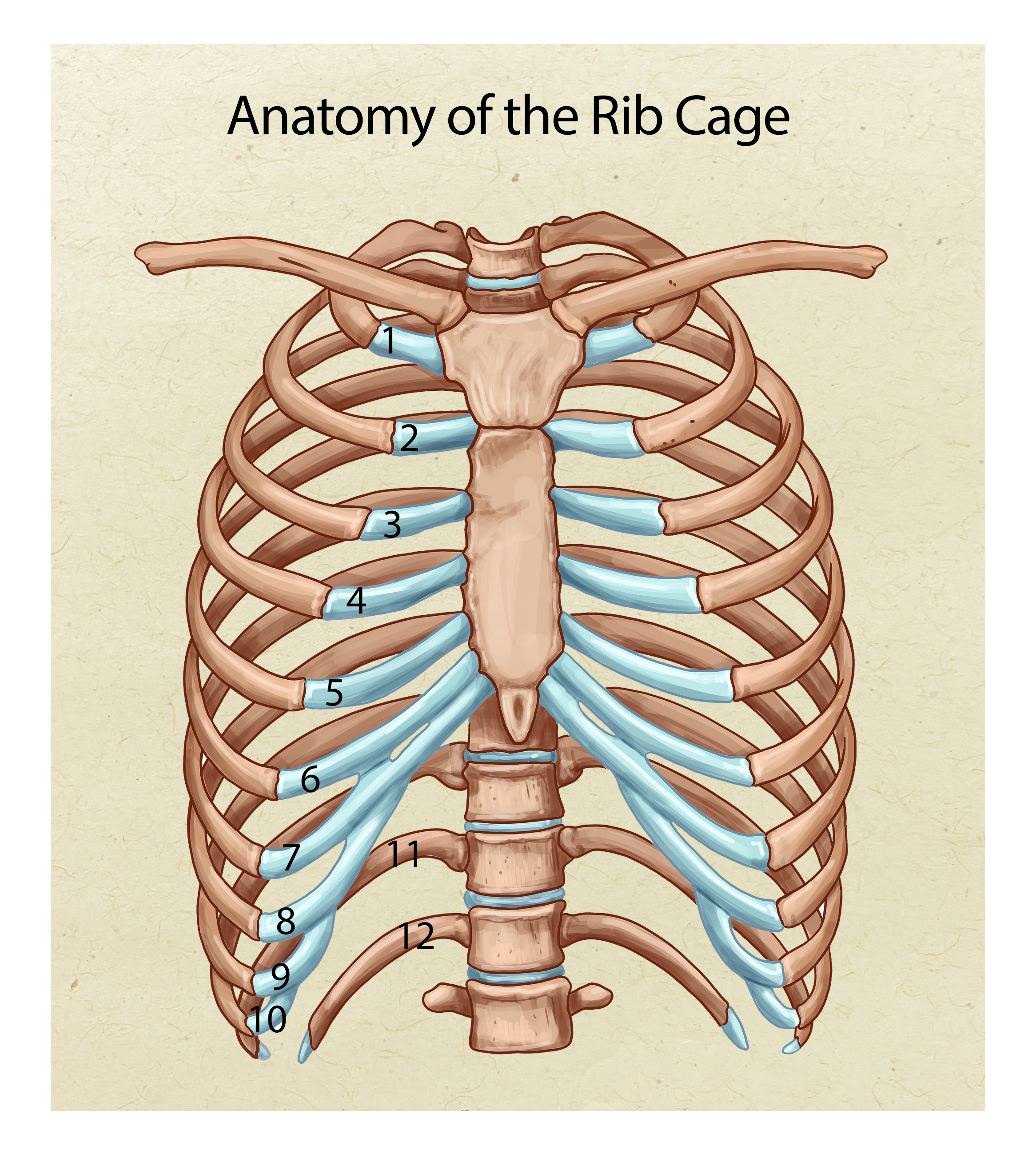 Diseño Gráfico por GPEXCEL para este proyecto | Diseño #30942403