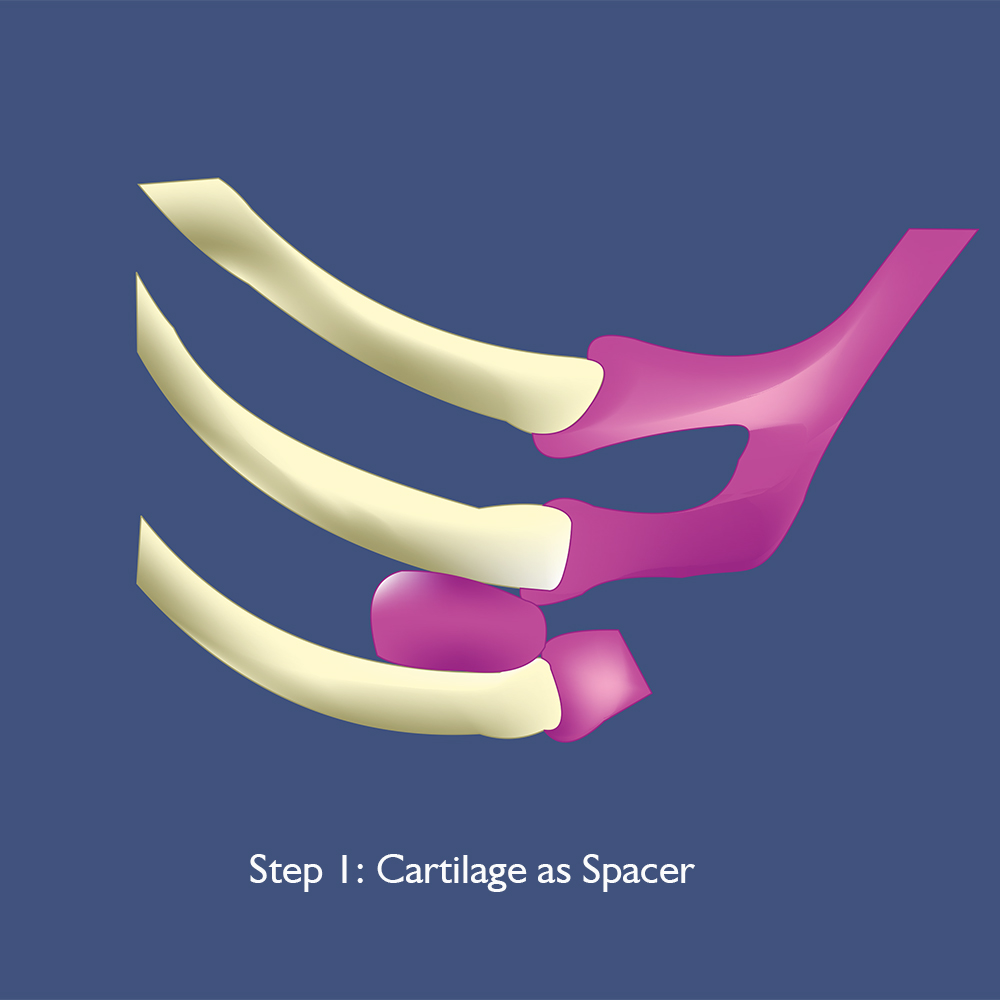 Graphic Design by Adams_O for this project | Design #30948997