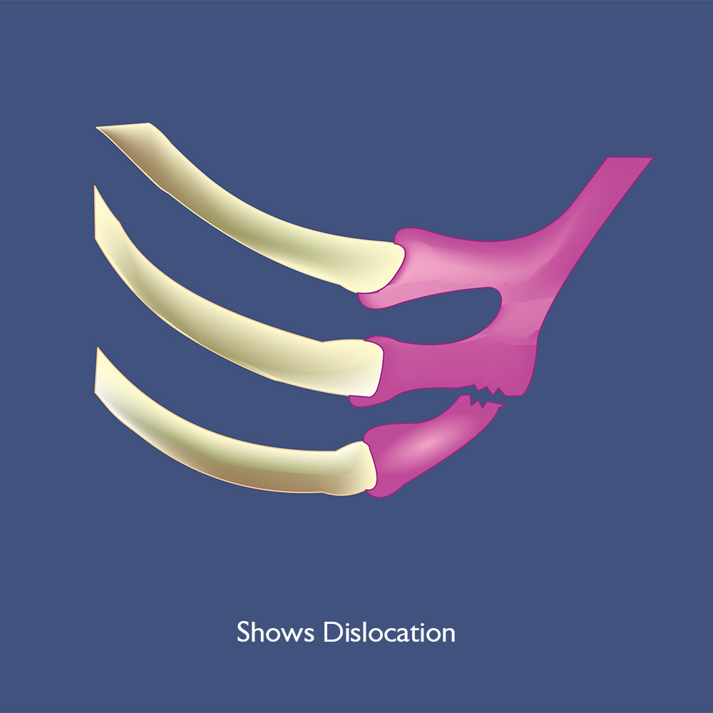 Graphic Design by Adams_O for this project | Design #30949000