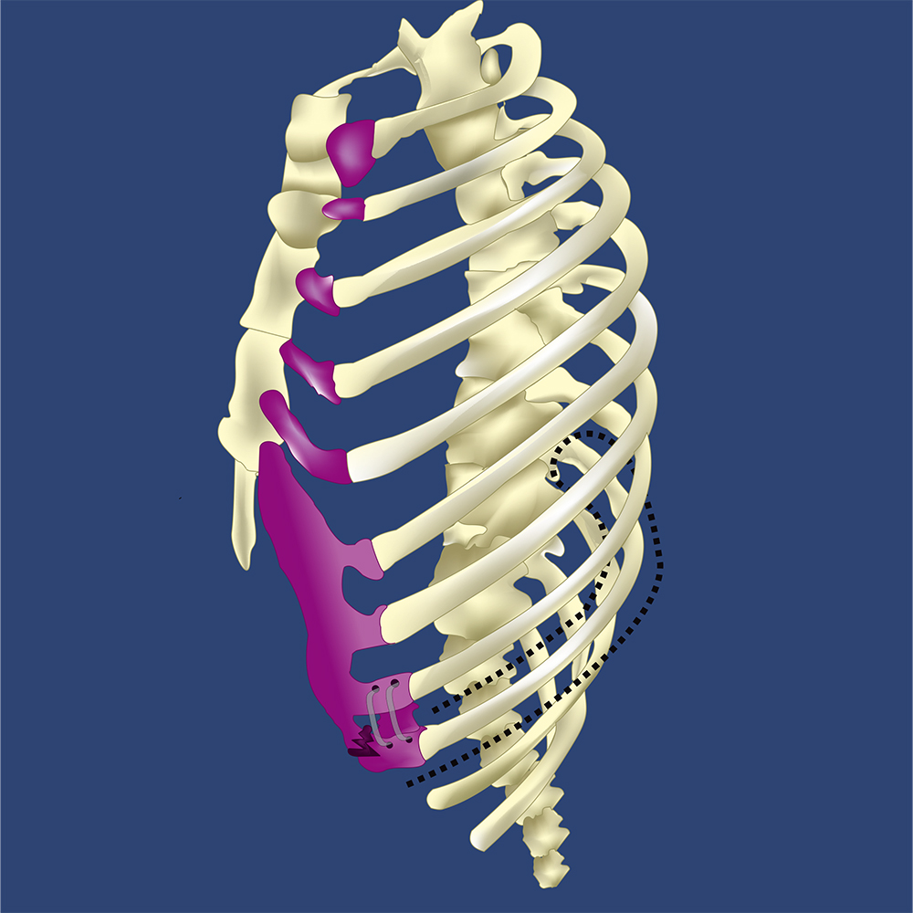 Graphic Design by Adams_O for this project | Design #30977478