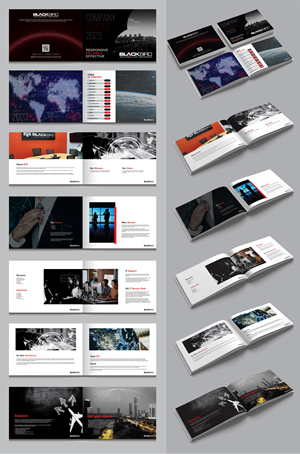 Diseño de Brochure por 3Guys para BLACKBIRD Technology | Diseño: #30951110
