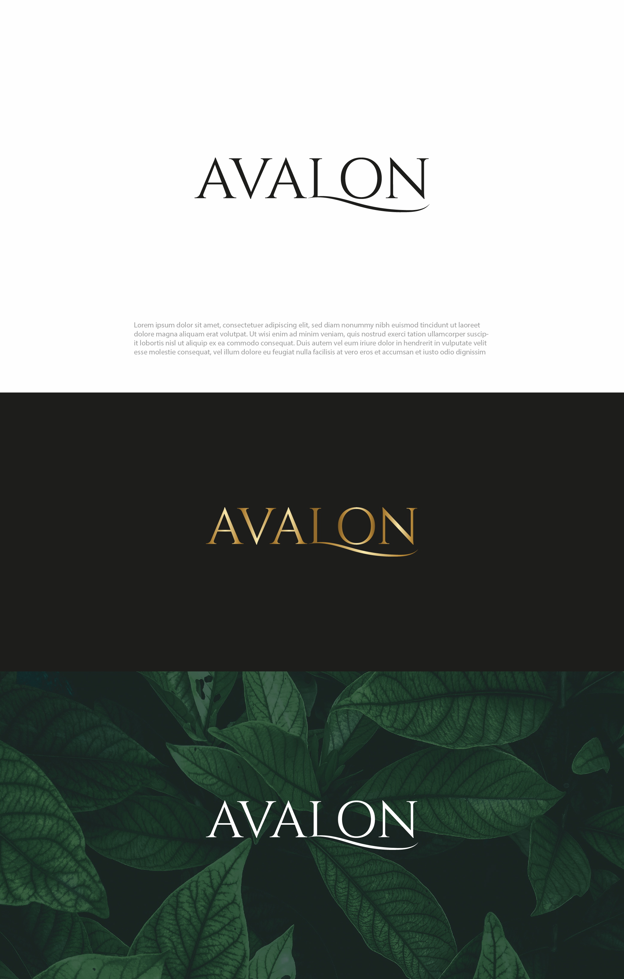 Logo Design by Graphic Mama for this project | Design #30942482