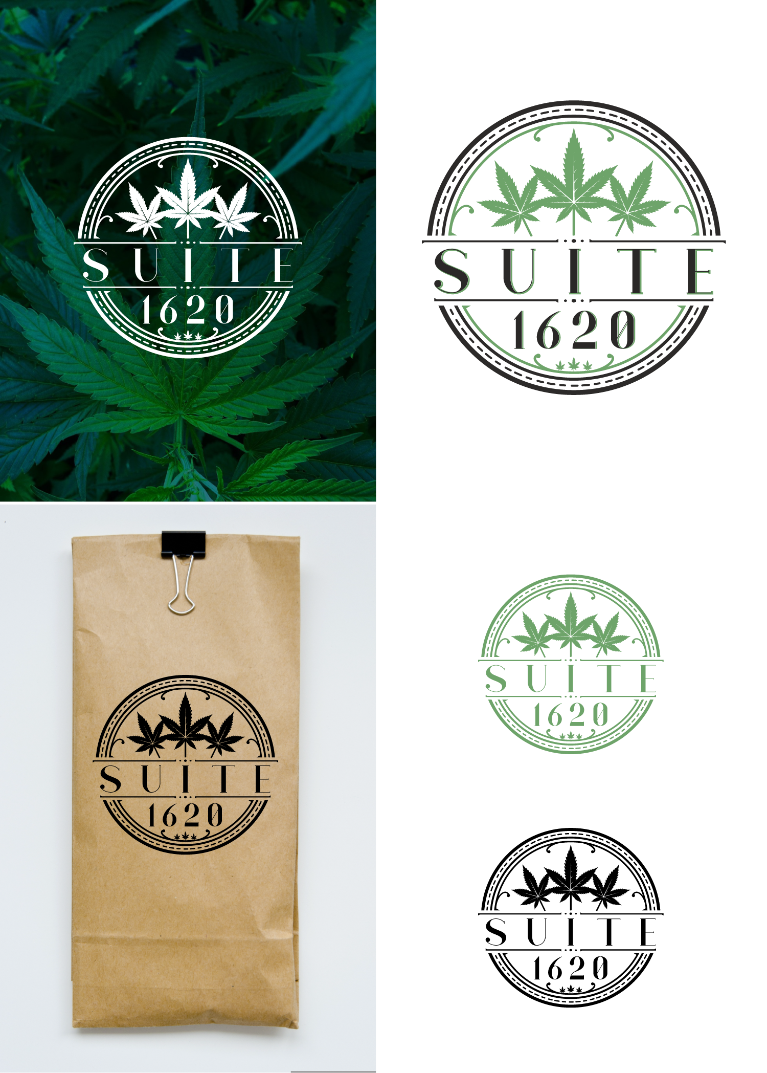 Logo Design by TTNN for this project | Design #30975179