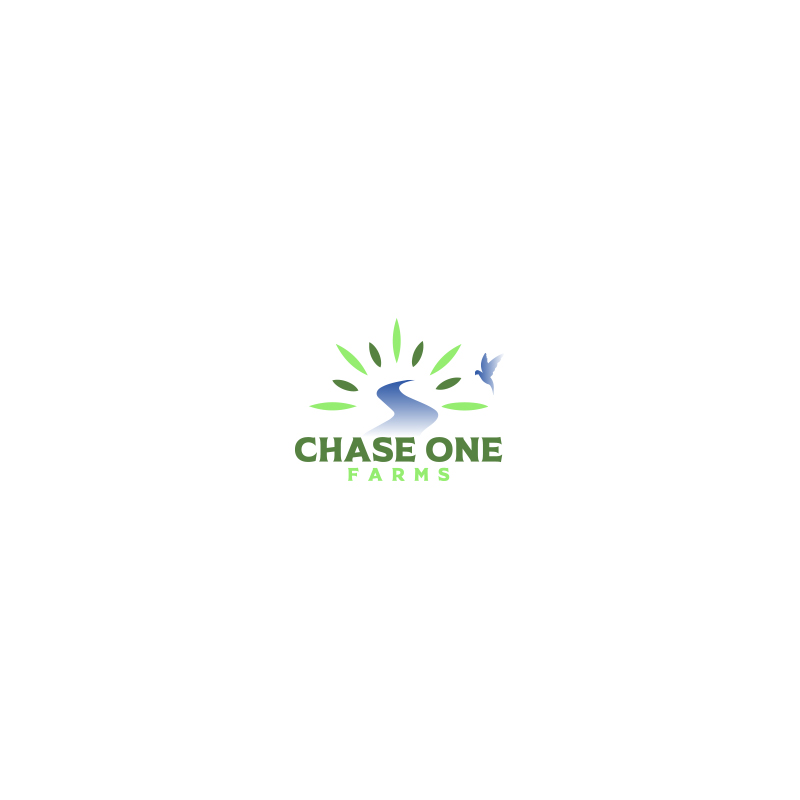 Diseño de Logo por Coli para este proyecto | Diseño #30978263