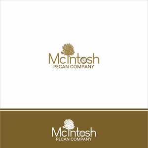 Graphic Design by Bang Design