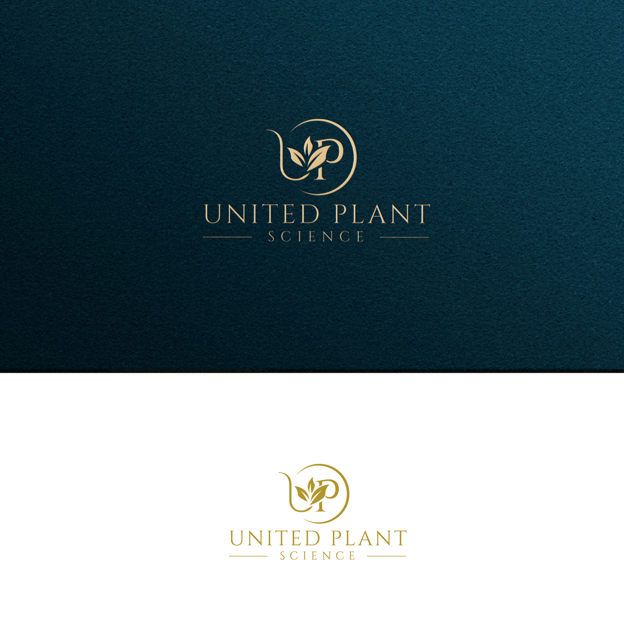Logo Design by zeykan for this project | Design #30963930