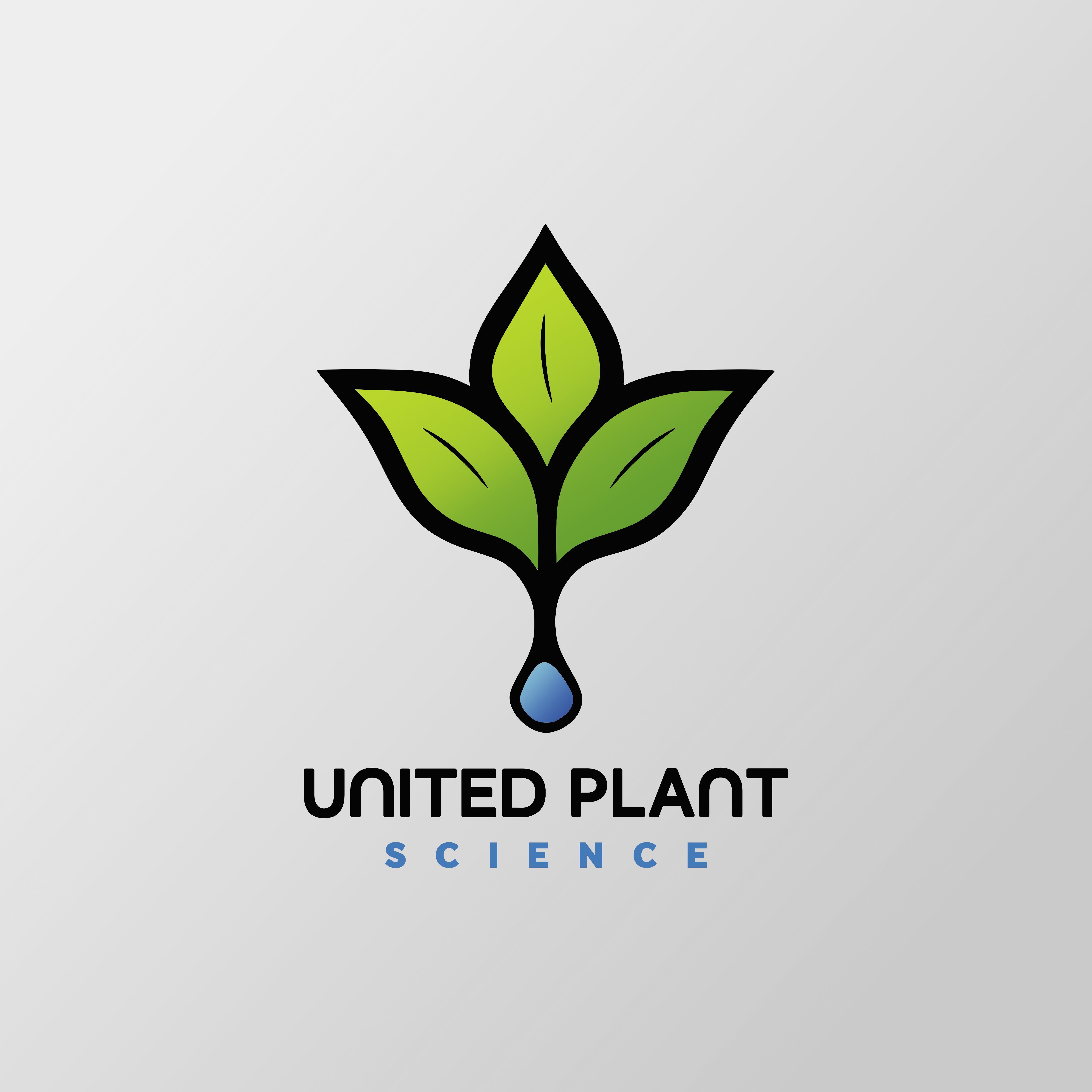 Logo Design by Mike78 for this project | Design #30965161
