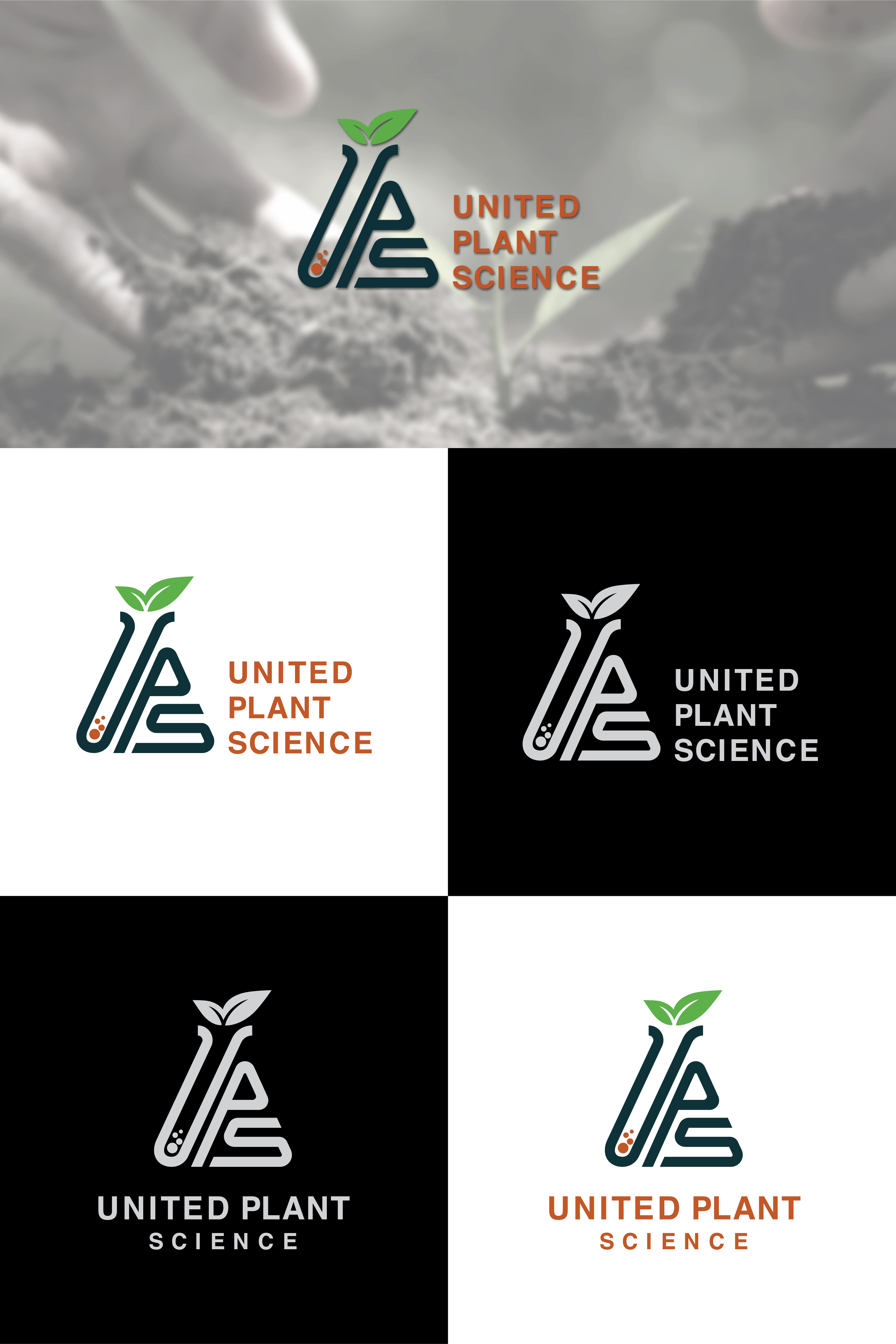 Logo Design by Ellon for this project | Design #31006125