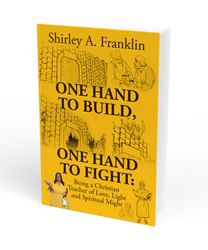Book Cover Design by Sergio Coelho for this project | Design: #30996396