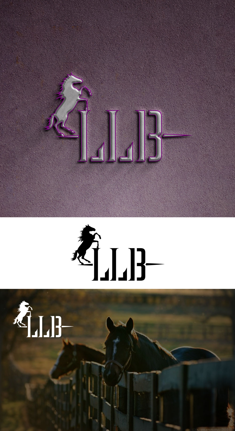 Logo Design by AD Design ideas for Fumax Pty Ltd | Design #30989393