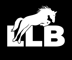 Logo Design by UN