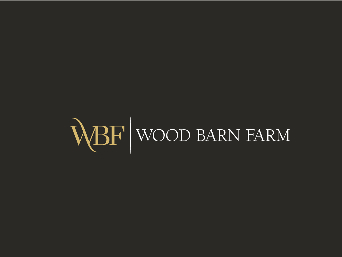 Logo Design by Caribu inc for Web Upp Limited | Design #31002385
