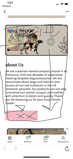 Web Design by NZ Creatives