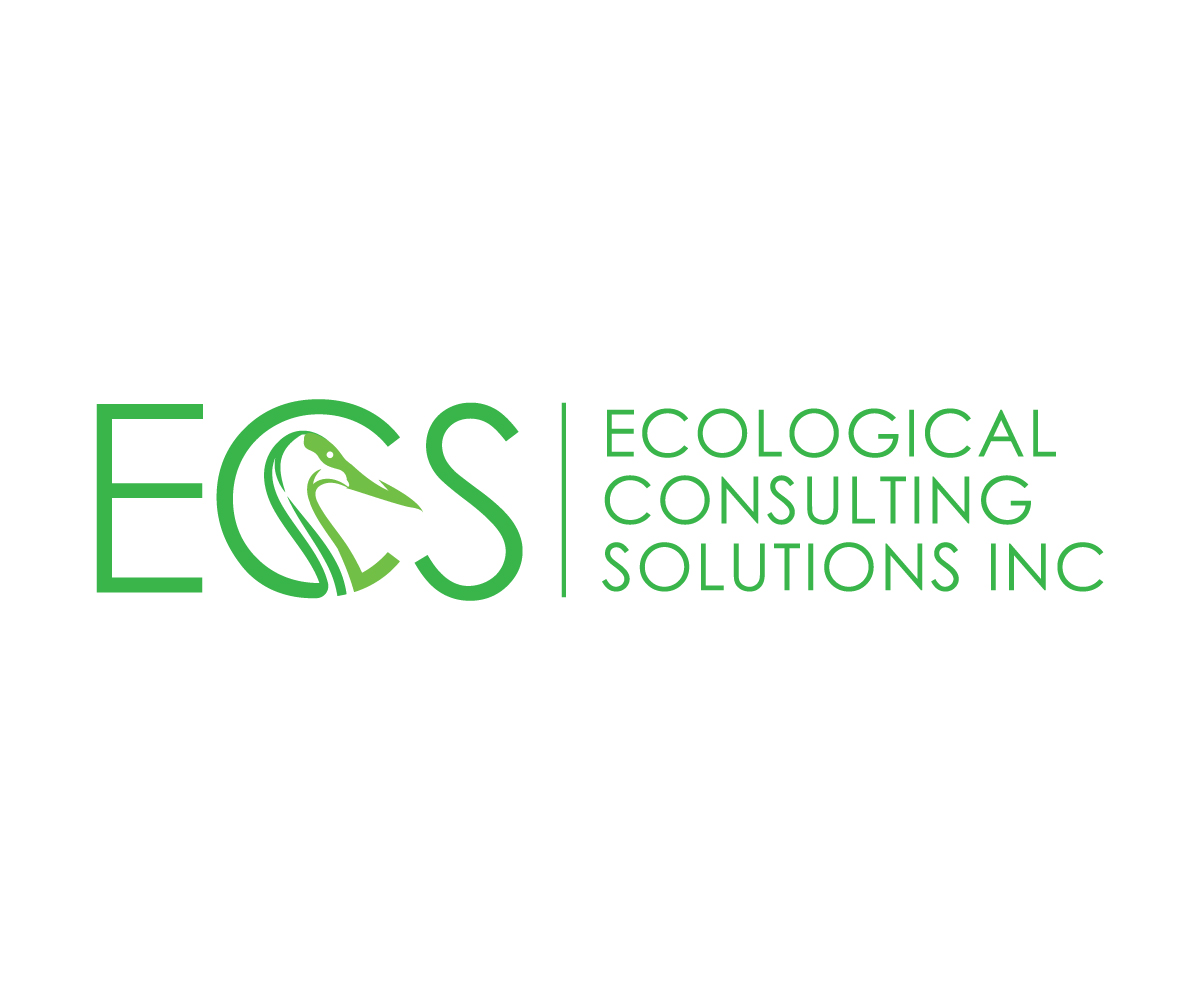 Logo Design by Adi Graphics for ECS | Design #30988270