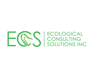 Logo Design by Adi Graphics for ECS | Design: #30988270