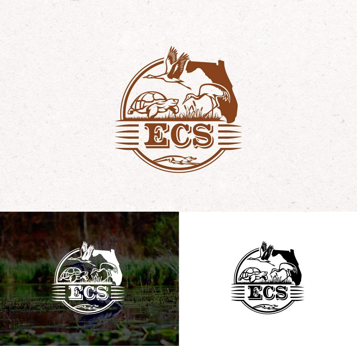 Logo Design by Logo Stock for ECS | Design #30982659