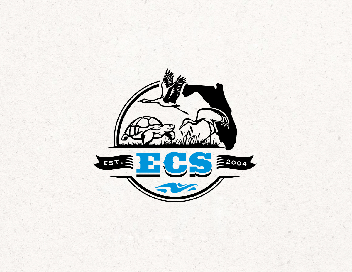 Logo Design by Logo Stock for ECS | Design #30994135