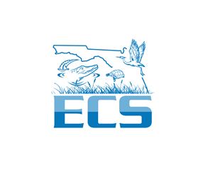 Logo-Design von Paint-Tools für ECS | Design #30983446