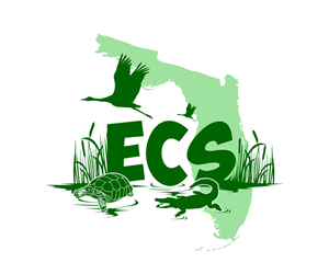 Logo Design by Paint-Tools for ECS | Design: #30983448