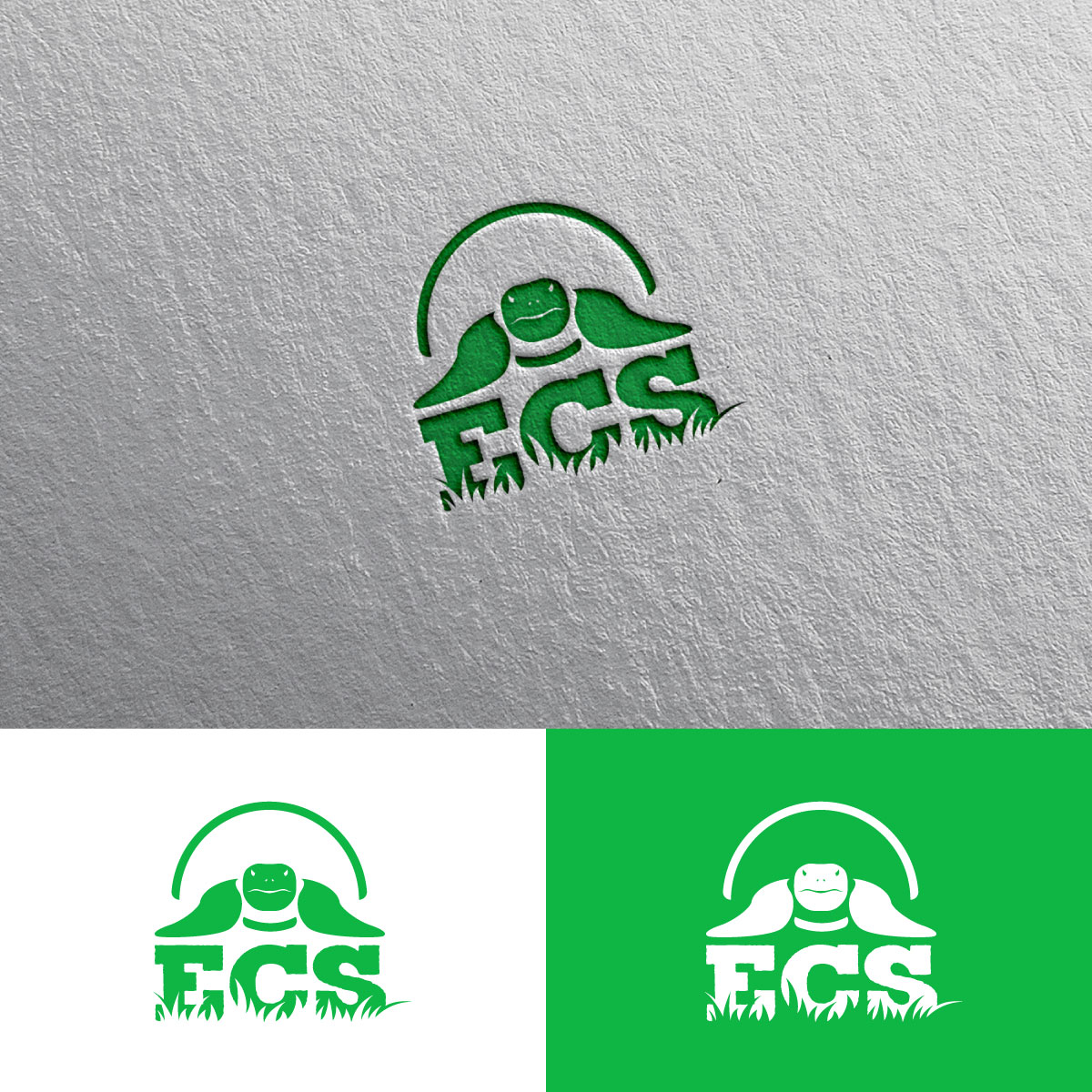 Logo Design by chris Ray for ECS | Design #30978906