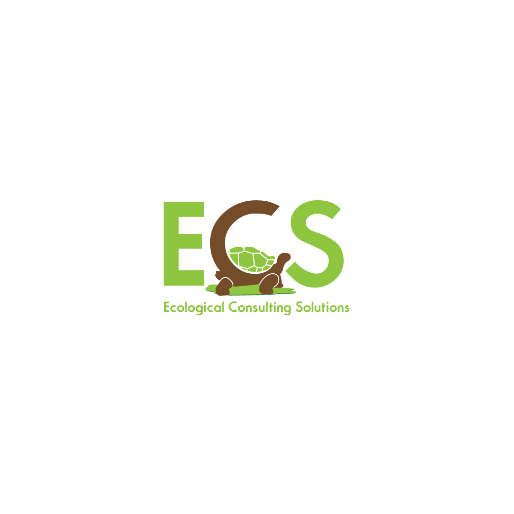 Logo Design by stylelogo92 for ECS | Design #30999576