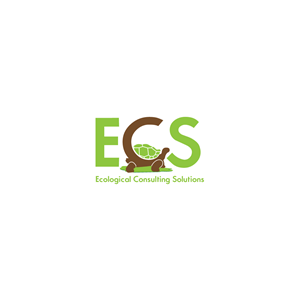 Logo Design by stylelogo92 for ECS | Design: #30999576