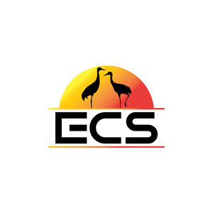 Logo Design by YourLogoMaster for ECS | Design: #30984602
