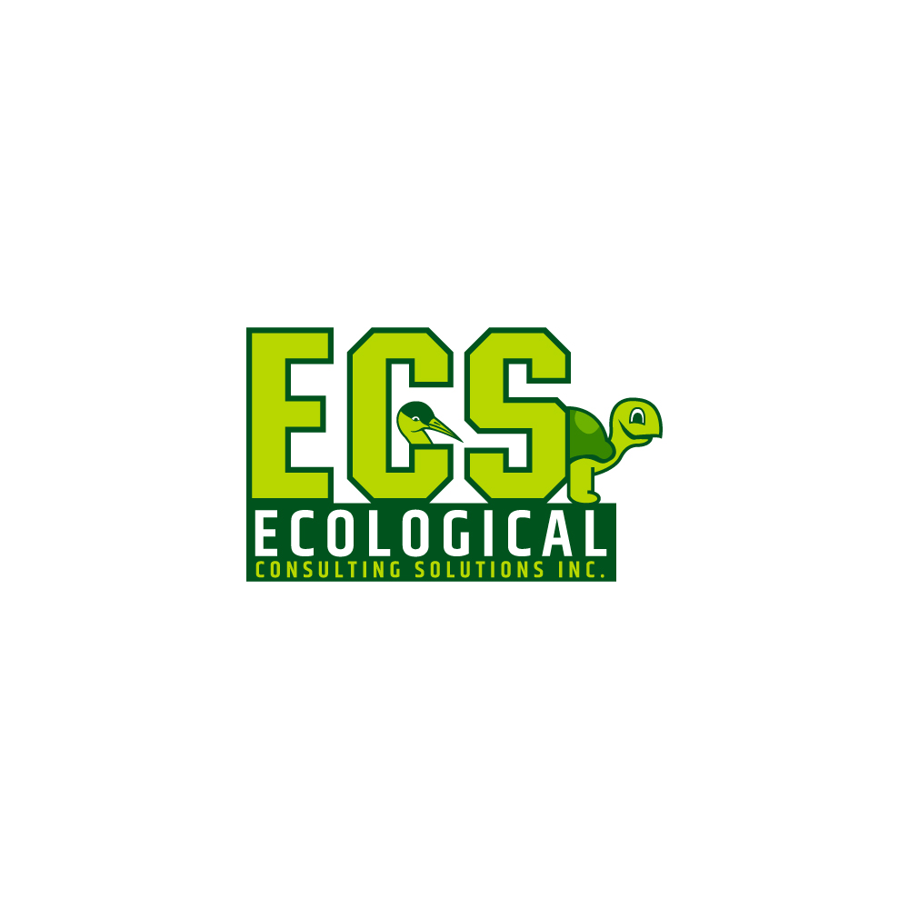 Diseño de Logo por Pixel Arto para ECS | Diseño #30995567