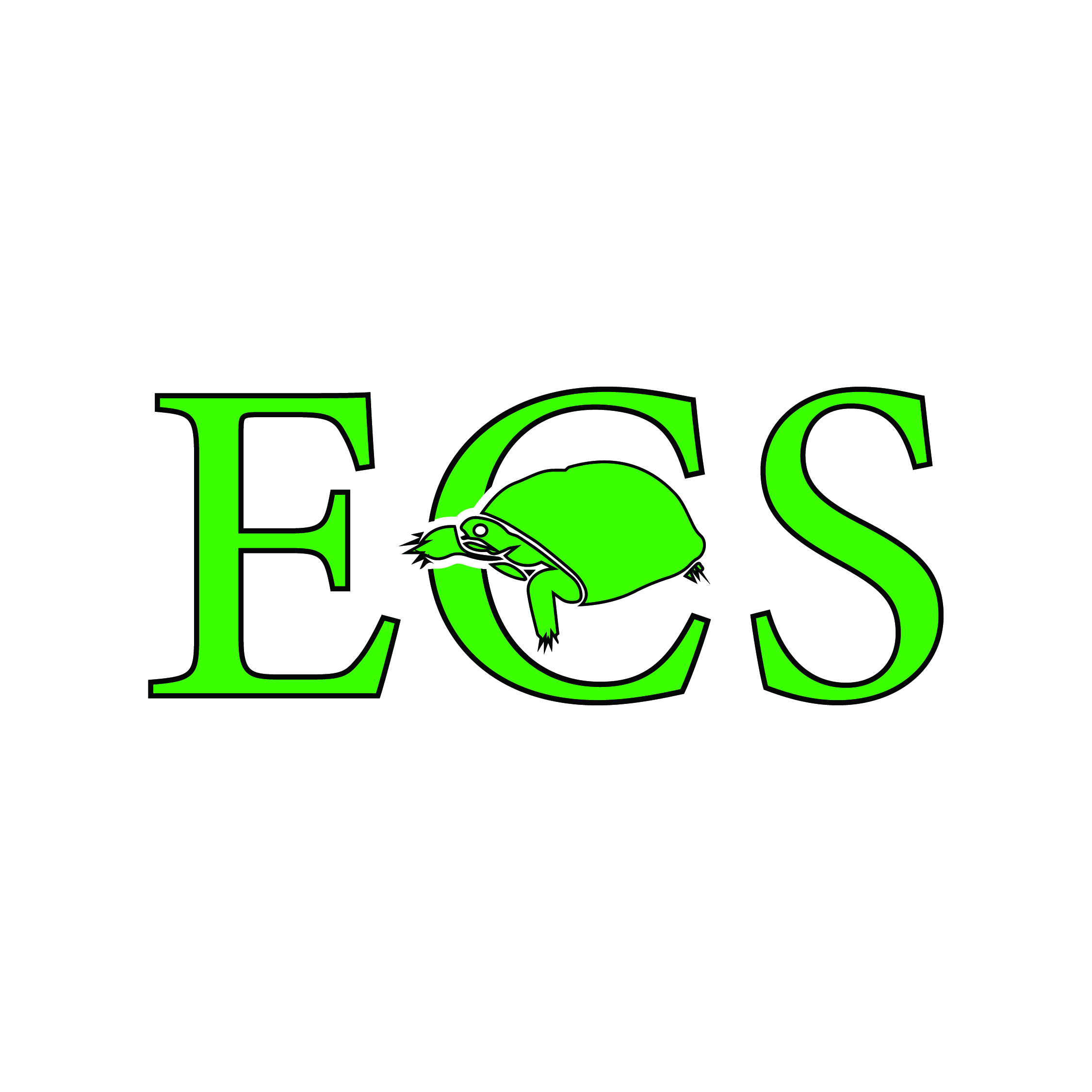 Diseño de Logo por BANI GD para ECS | Diseño #31020293