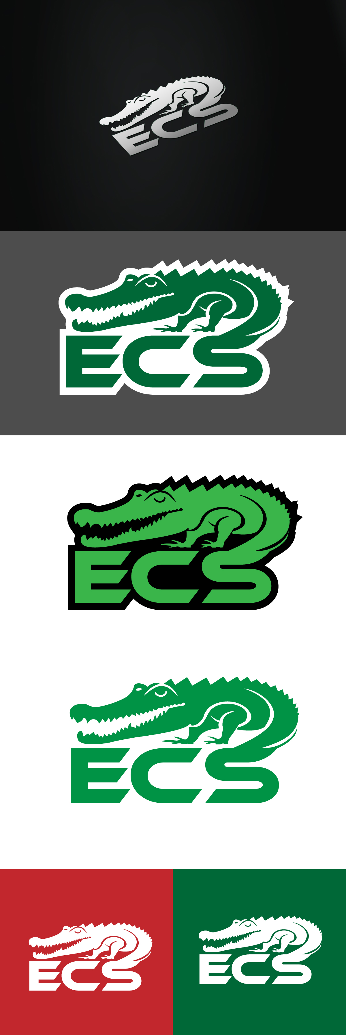 Logo Design by tanjir01 for ECS | Design #30987329