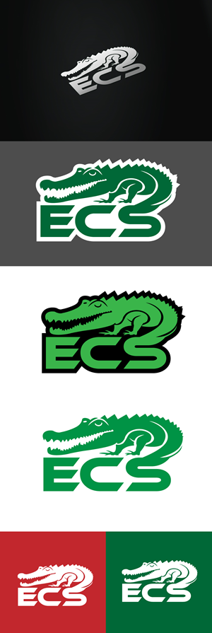 Logo Design by tanjir01 for ECS | Design: #30987329