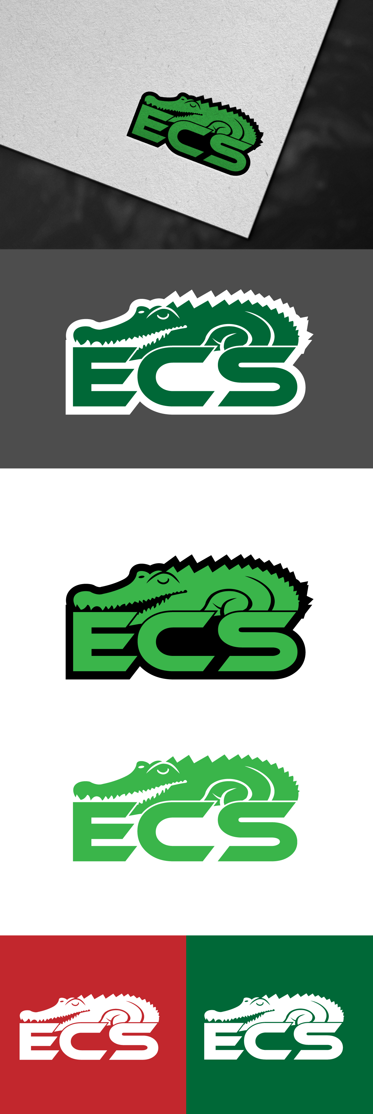Logo Design by tanjir01 for ECS | Design #30987426