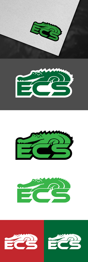 Logo Design by tanjir01 for ECS | Design: #30987426