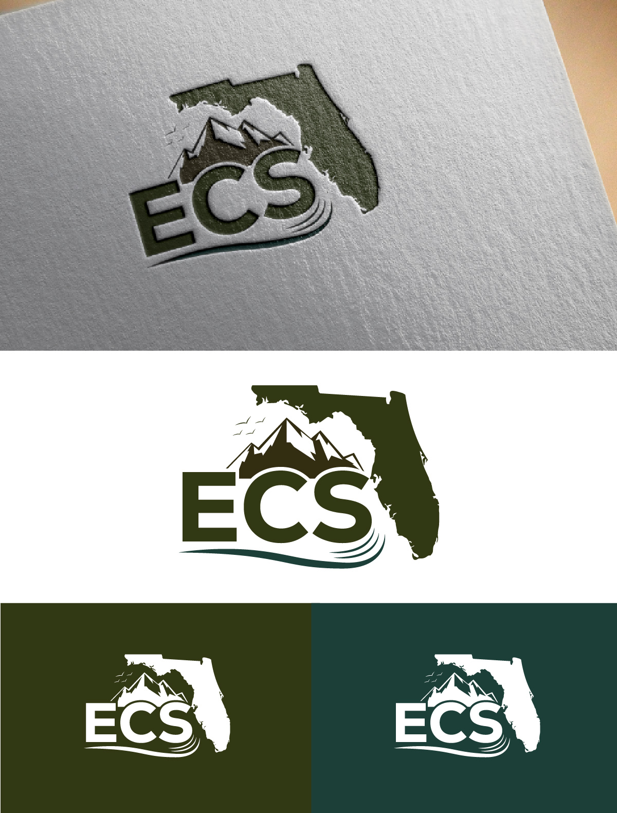 Logo Design by fly  design for ECS | Design #30982505