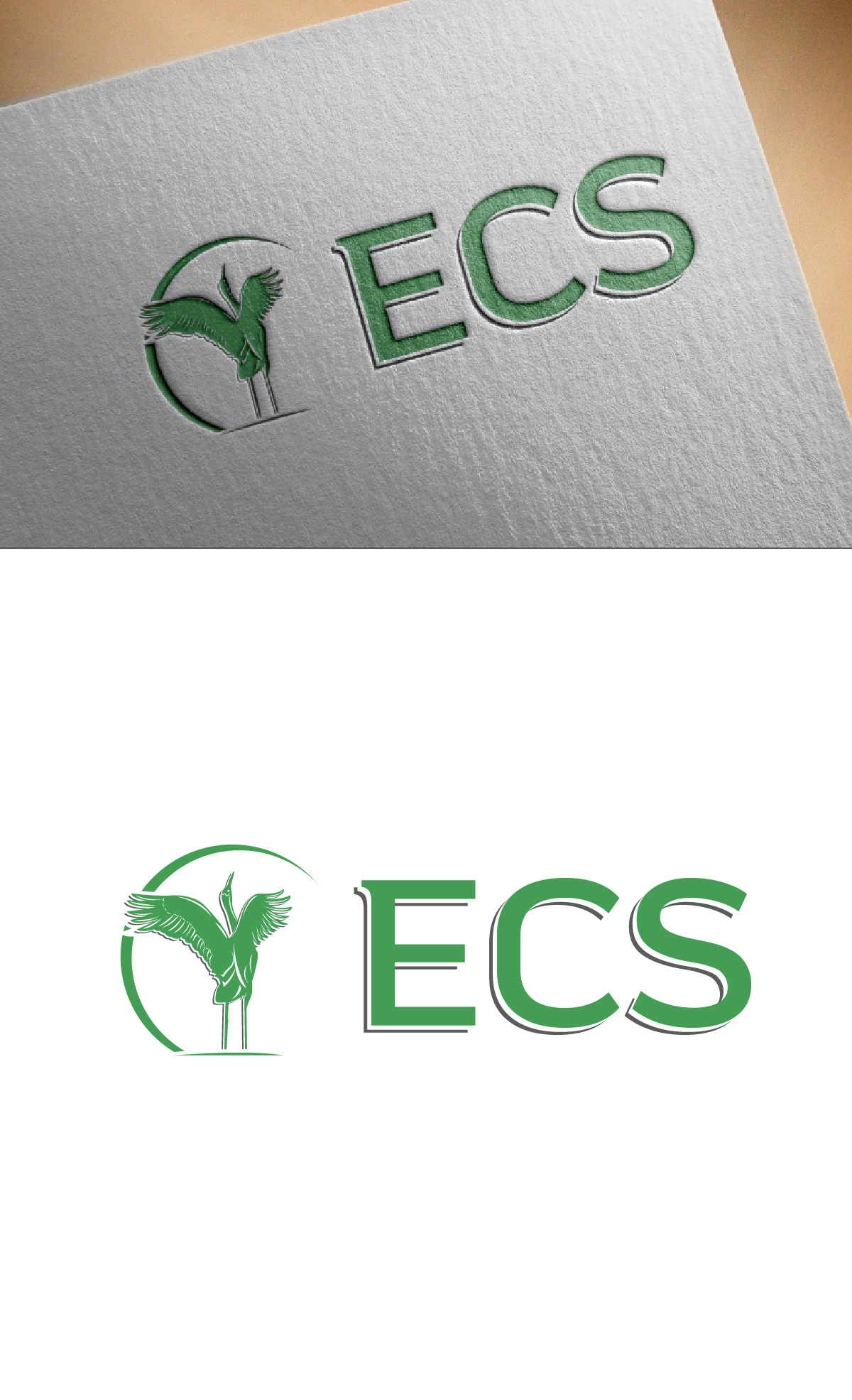 Logo Design by fly  design for ECS | Design #30983501