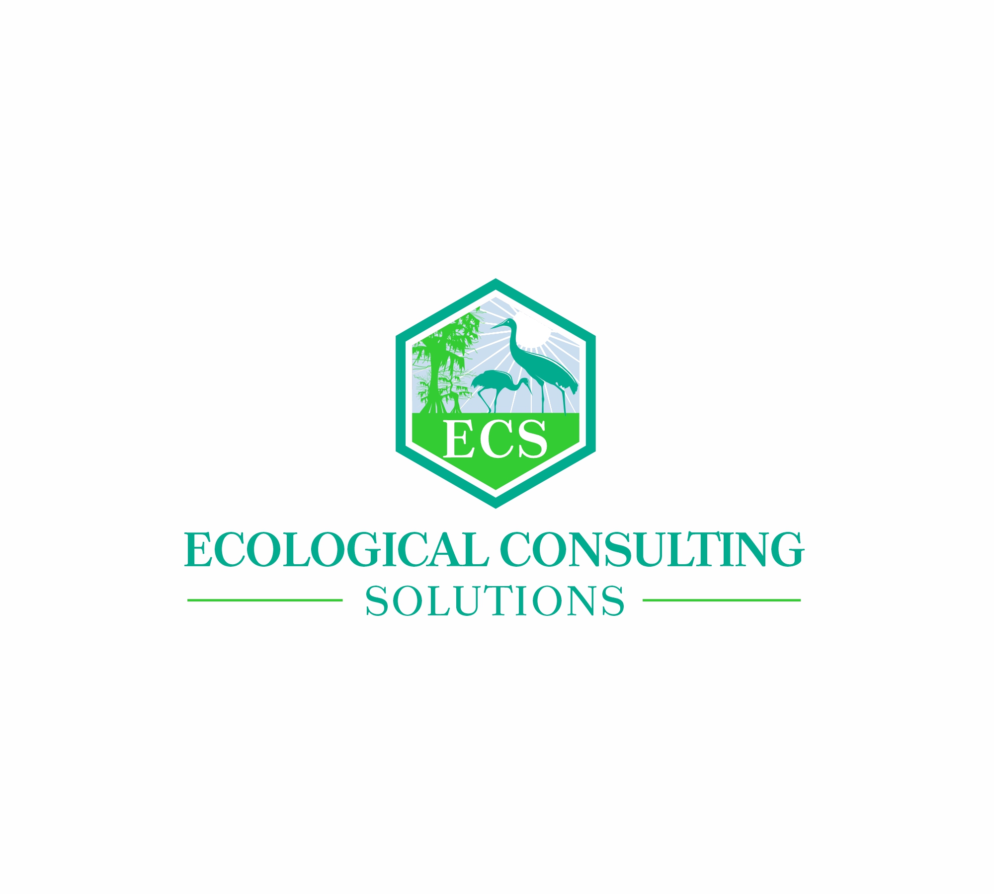 Logo-Design von aligutierrez für ECS | Design #31017053