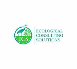 Logo Design by aligutierrez for ECS | Design: #31017054